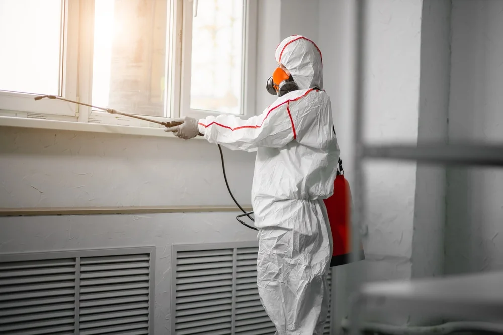 Professional mold remediation services in Salem, UT